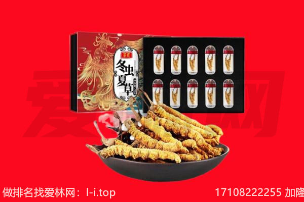 雅安天全县回收虫草.jpg
